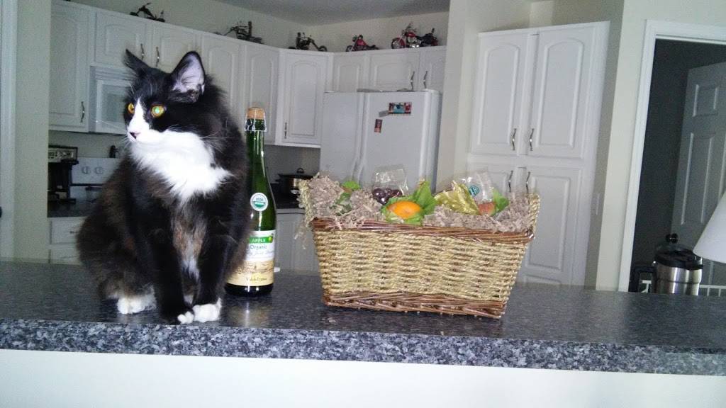 Sugar Mamas Southern Catering | restaurant | 809 N Magnolia Ave, Ocala, FL 34475, USA | 3522398436 OR +1 352-239-8436