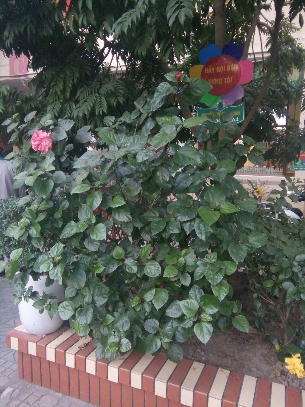 Double | restaurant | 53-16 108th St, Corona, NY 11368, USA | 7187601021 OR +1 718-760-1021