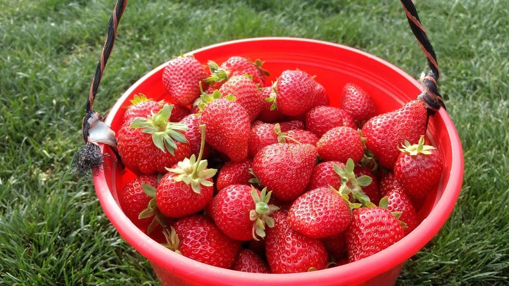 The Gorge White House | cafe | 2265 OR-35, Hood River, OR 97031, USA | 5413862828 OR +1 541-386-2828