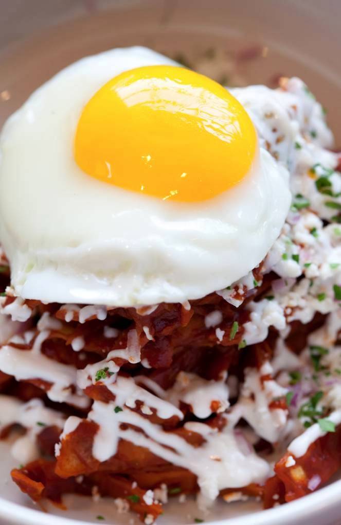 A Toda Madre | restaurant | 499 N Main St, Glen Ellyn, IL 60137, USA | 6304740969 OR +1 630-474-0969