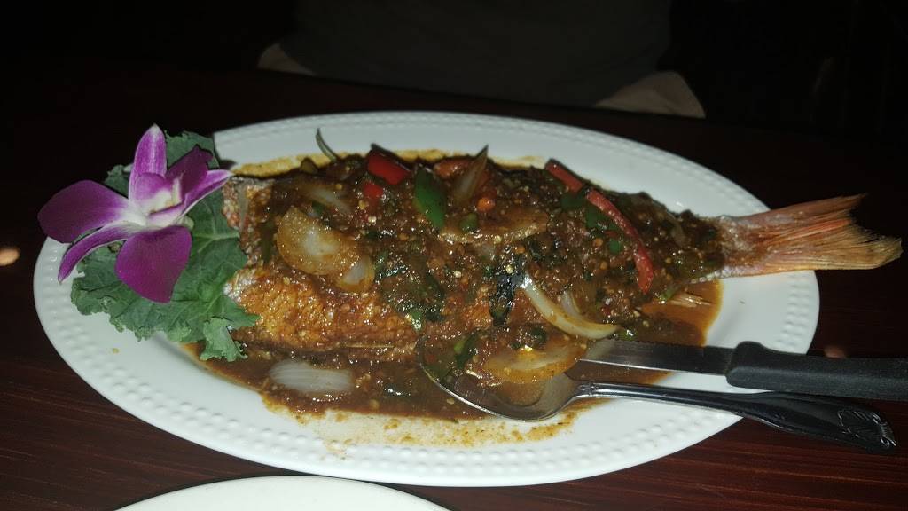 Thai Thai | Restaurant & Sushi Bar | restaurant | 1861 N Pine Island Rd, Plantation, FL 33322, USA | 9544240808 OR +1 954-424-0808