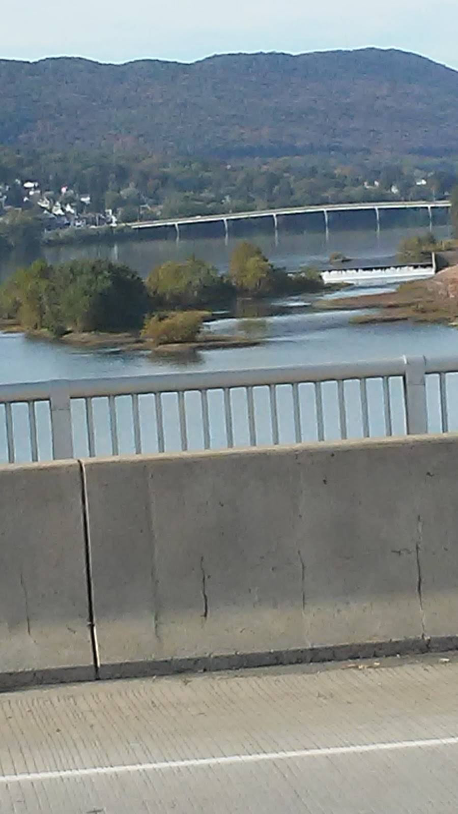 Mulberry Street Cafe | restaurant | 166 Mulberry St, Williamsport, PA 17701, USA | 5703229423 OR +1 570-322-9423