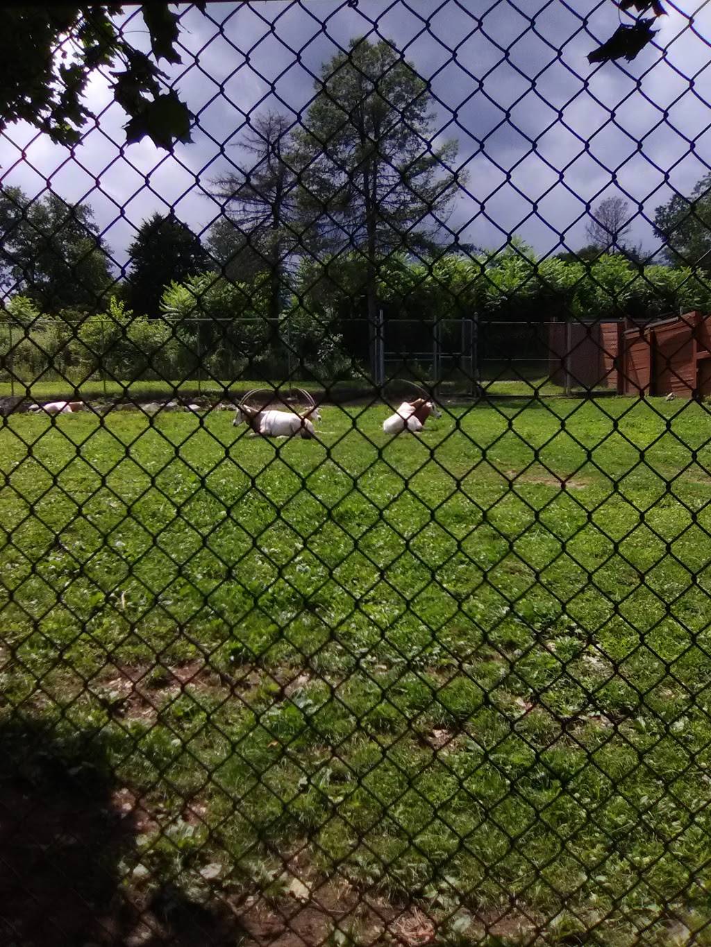 Culinary Experts | restaurant | 1825 W Chew St, Allentown, PA 18104, USA | 6108200800 OR +1 610-820-0800