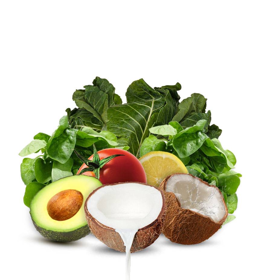 GreenSurge | restaurant | 2301 Market St, San Francisco, CA 94114, USA | 4157347286 OR +1 415-734-7286