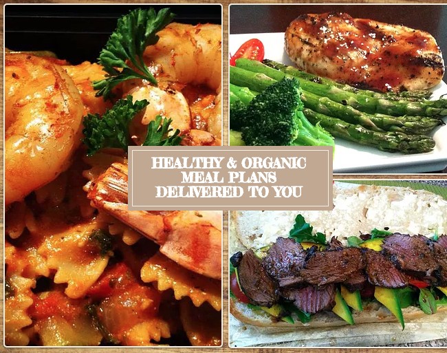 Lets Go Healthy Miami - Organic Meal Delivery | meal delivery | 10300 SW 72nd St, Miami, FL 33173, USA | 7865092402 OR +1 786-509-2402