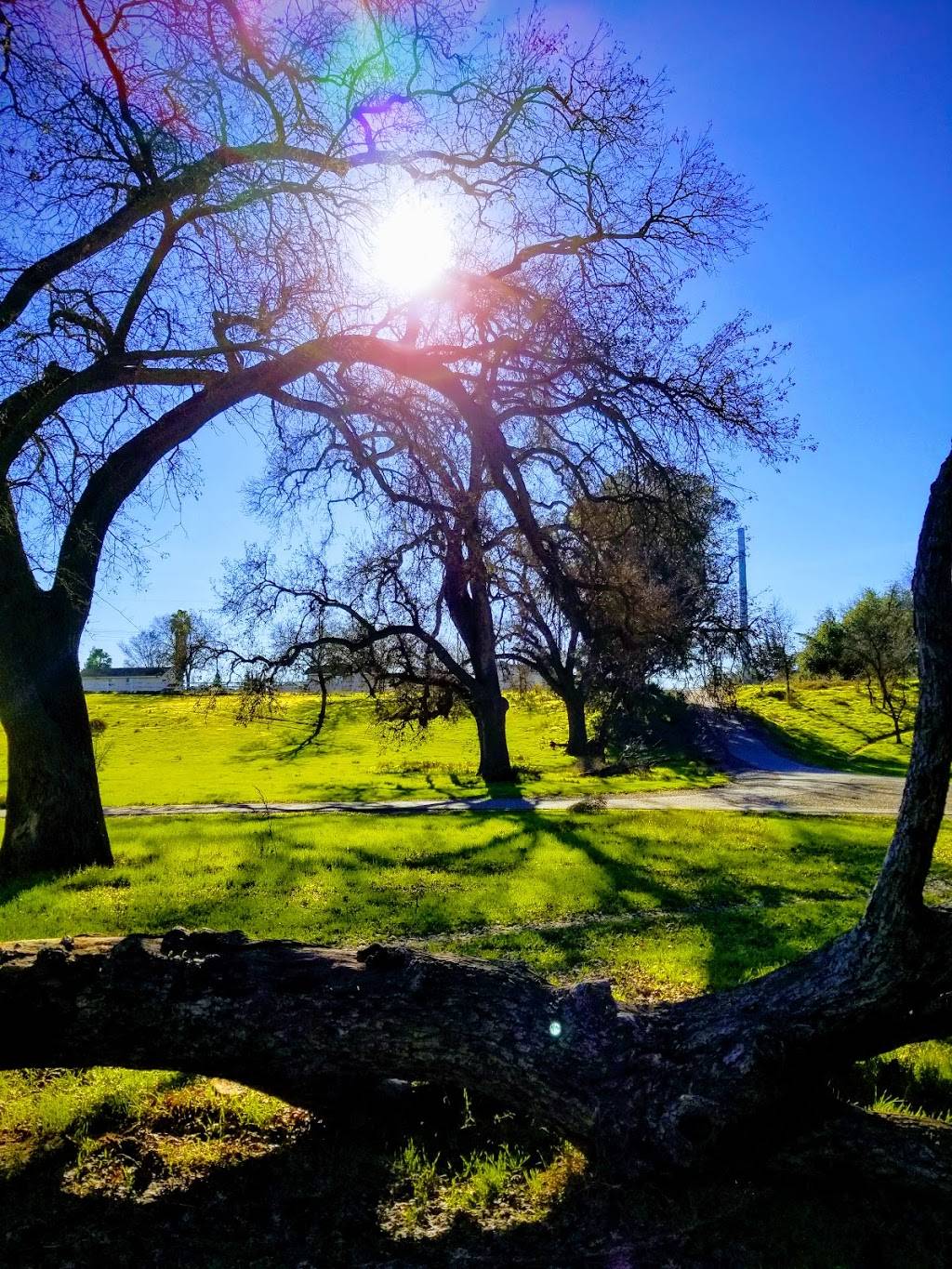 Creekside Golf Course | restaurant | 701 Lincoln Ave, Modesto, CA 95354, USA | 2095715123 OR +1 209-571-5123