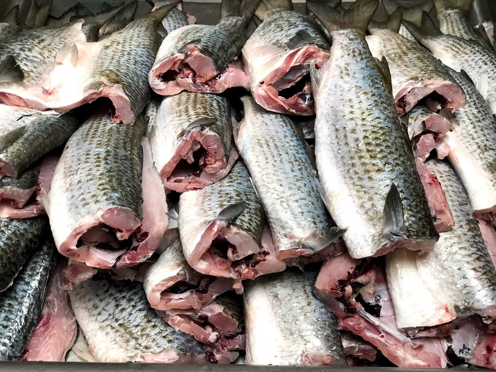 Red Snapper | restaurant | 5023 Crawfordville Rd # 5, Tallahassee, FL 32305, USA | 8509420043 OR +1 850-942-0043