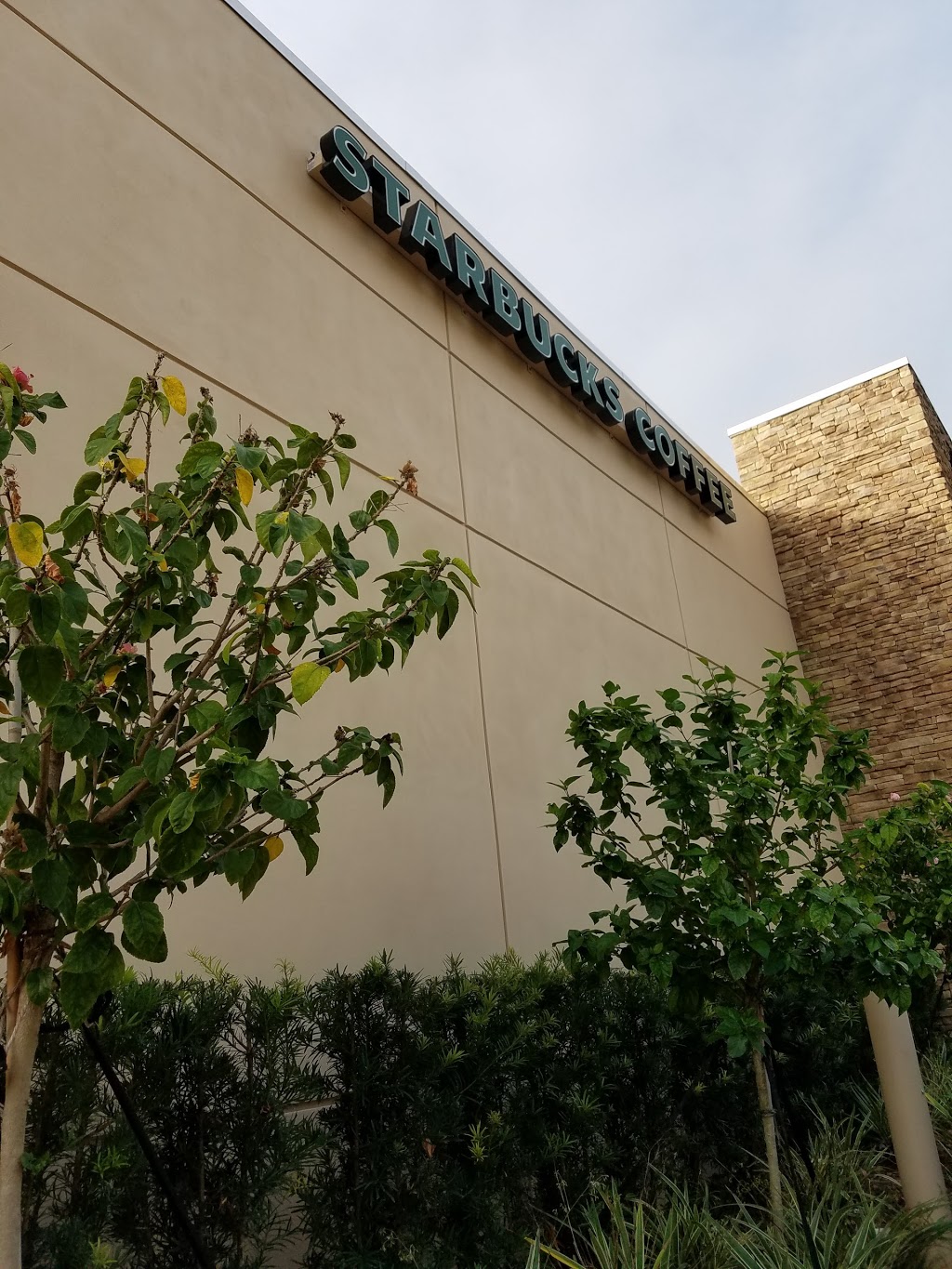 Starbucks | cafe | 5796 S University Dr #101, Davie, FL 33328, USA | 9546803217 OR +1 954-680-3217