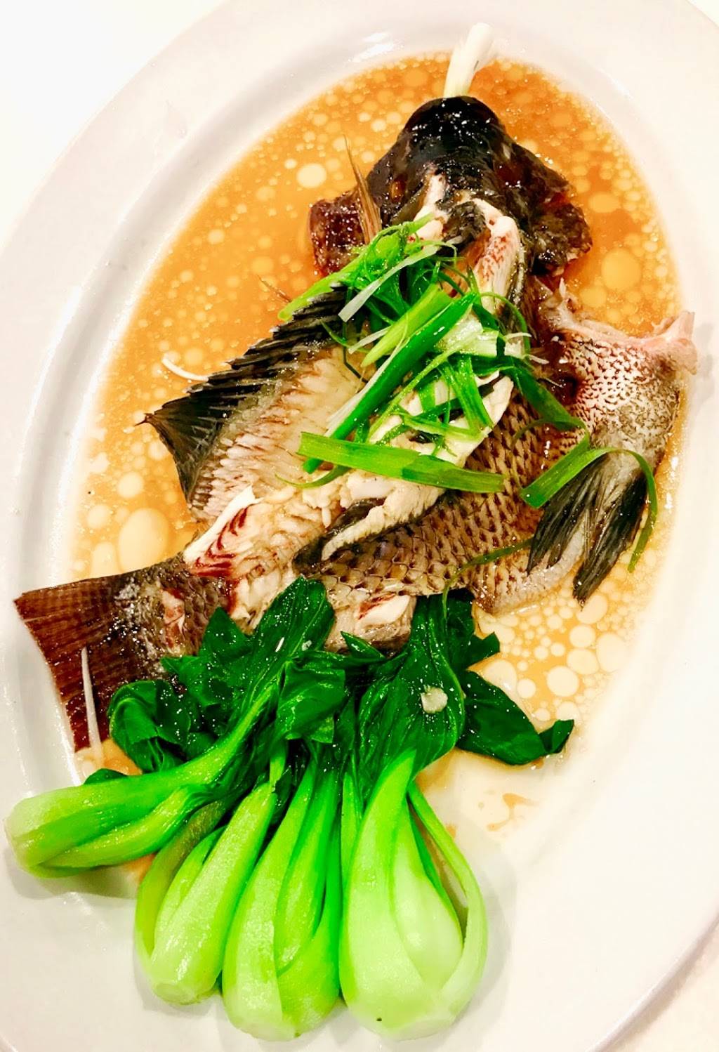 KingFu Master (一家小店) | restaurant | 558 Las Tunas Dr, Arcadia, CA 91007, USA | 6264455588 OR +1 626-445-5588