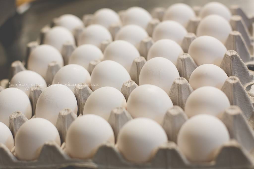 Moms Kitchen | restaurant | 210 W Jackson St, Marshfield, MO 65706, USA | 4178597251 OR +1 417-859-7251