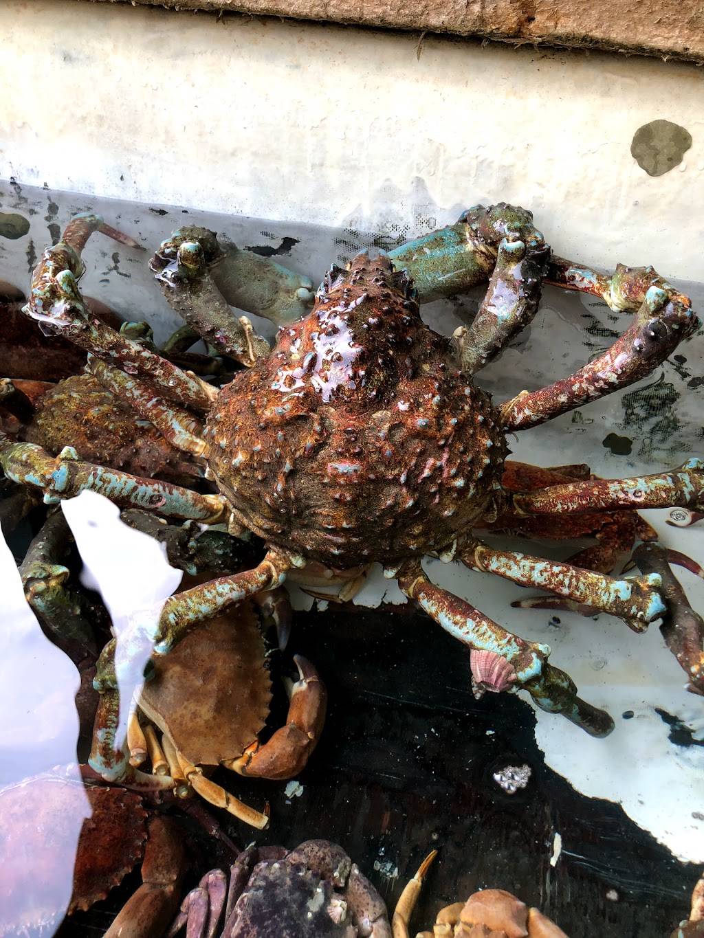 H C | restaurant | 3920 W Channel Islands Blvd, Oxnard, CA 93035, USA | 8053828171 OR +1 805-382-8171