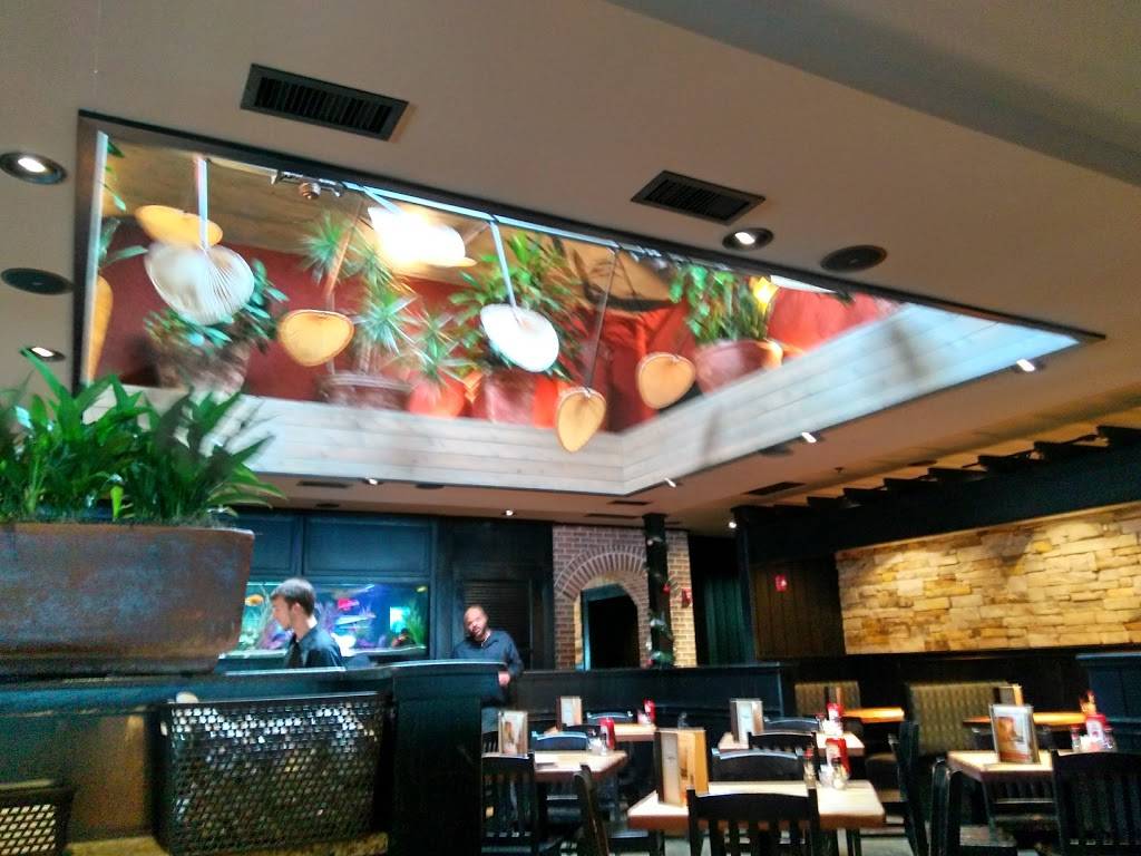 Cheddars Scratch Kitchen | restaurant | 1195 Dawsonville Hwy, Gainesville, GA 30501, USA | 6784504510 OR +1 678-450-4510