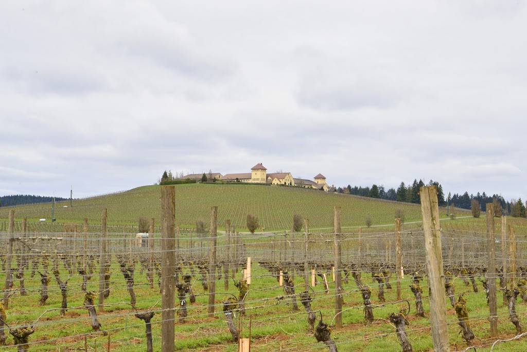 King Estate Winery | restaurant | 80854 Territorial Hwy, Lorane, OR 97451, USA | 5416855189 OR +1 541-685-5189