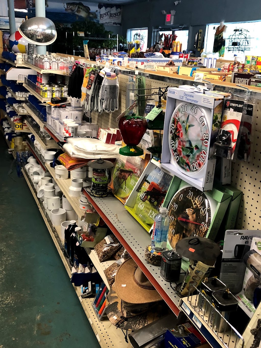 Chiodos 231 Express Market | meal takeaway | 17941 US-231, Fountain, FL 32438, USA | 8507220441 OR +1 850-722-0441