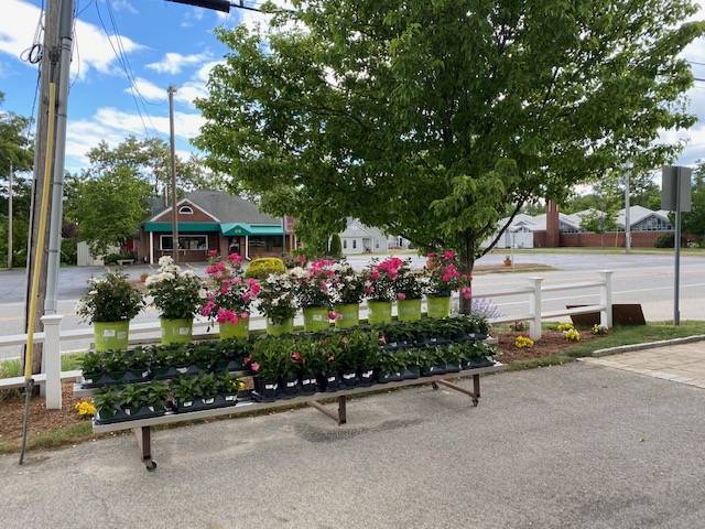 Miller Farm Ice Cream & Garden Center | restaurant | 277 Main St, Northborough, MA 01532, USA | 5086183141 OR +1 508-618-3141