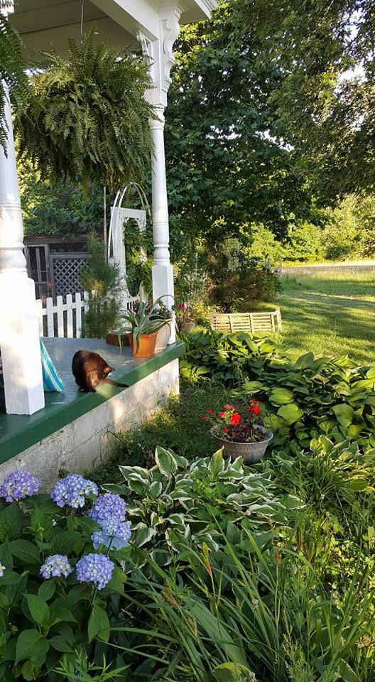 Willows Bend Farm Herbs & Aromatherapy | restaurant | 20413 Carson Rd, Dinwiddie, VA 23841, USA | 8048927588 OR +1 804-892-7588