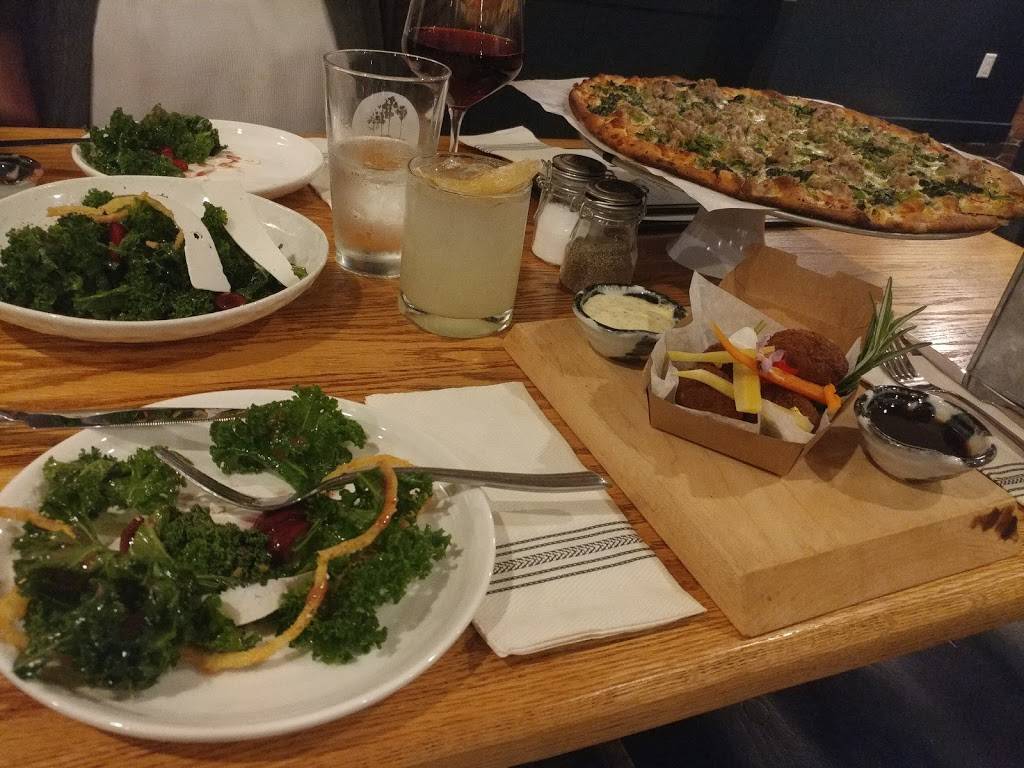 Next Door | restaurant | 175 Humphrey St, New Haven, CT 06511, USA | 4752345969 OR +1 475-234-5969