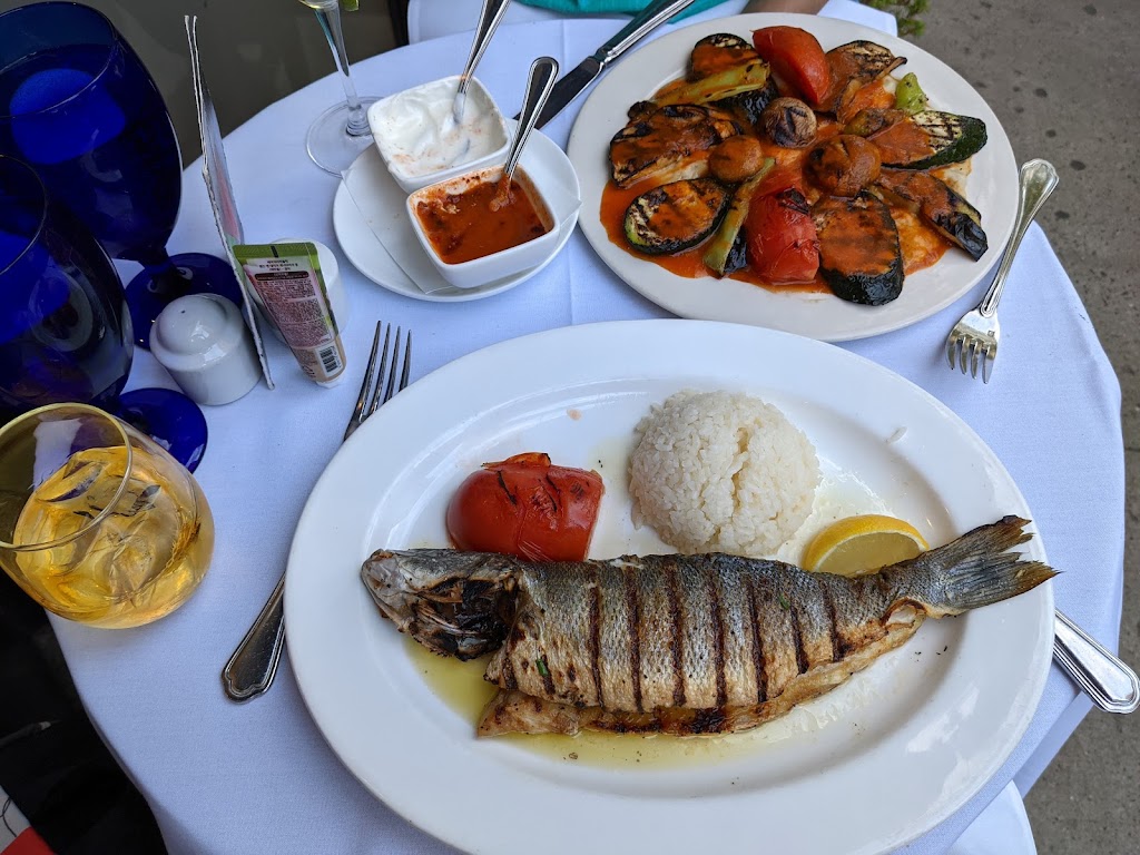 Turkish Kitchen | restaurant | 386 3rd Ave, New York, NY 10016, USA | 2126796633 OR +1 212-679-6633