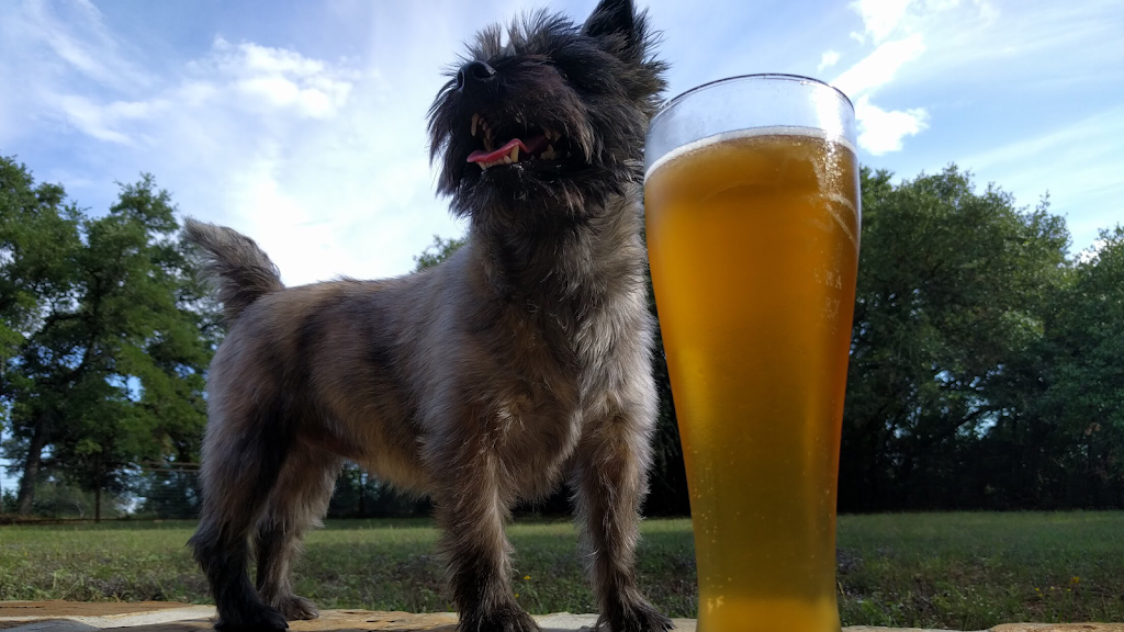 Bandera Ale Project | restaurant | 3540 TX-16, Bandera, TX 78003, USA | 8305224226 OR +1 830-522-4226