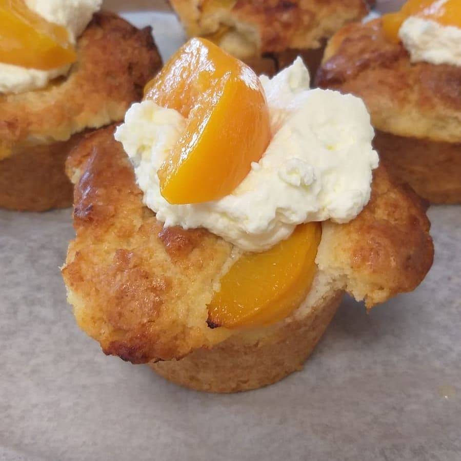 Fresh Start Cafe Breakfast & Lunch | restaurant | 630 S Orange Ave, Sarasota, FL 34236, USA | 9413731242 OR +1 941-373-1242