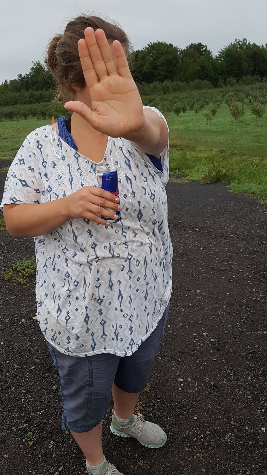 Le Pavillon Du Verger | restaurant | 2232 Montée Brooks, Franklin, QC J0S 1E0, Canada | 4508272742 OR +1 450-827-2742