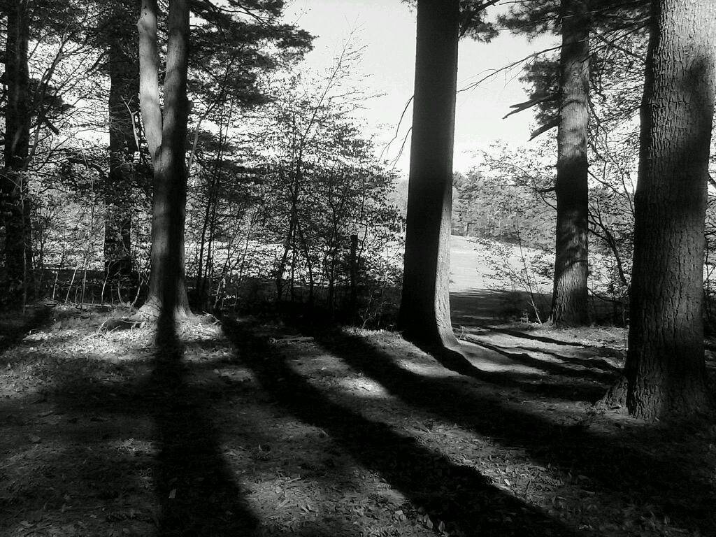 Main Wah Kitchen | restaurant | 1888 Main St, Hartford, CT 06120, USA | 8602931166 OR +1 860-293-1166