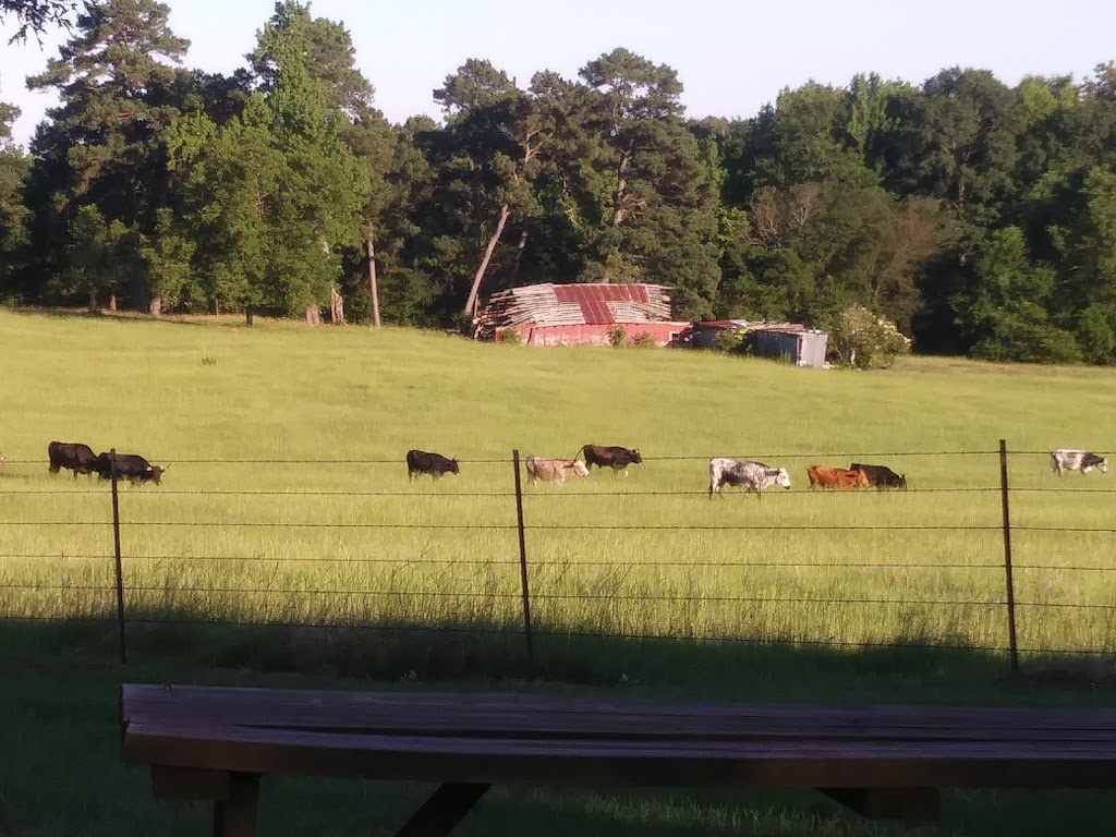 Best Of Texas Barbque Smokehouse | restaurant | 323 Bailey Cut Off, Marshall, TX 75670, USA | 9039271080 OR +1 903-927-1080