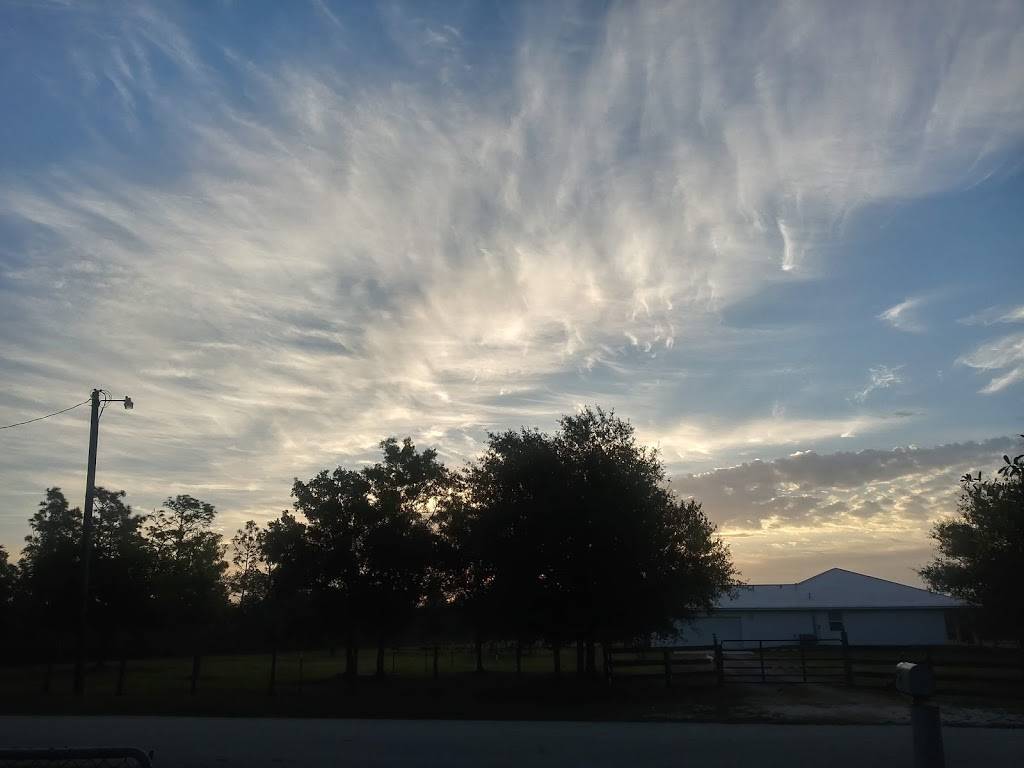 Los Compadres, Inc | restaurant | 135 N Brevard Ave, Arcadia, FL 34266, USA | 8634910092 OR +1 863-491-0092