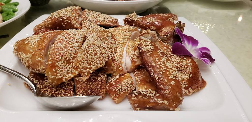 HL Peninsula Pearl | restaurant | 1590 Old Bayshore Hwy, Burlingame, CA 94010, USA | 6506971288 OR +1 650-697-1288