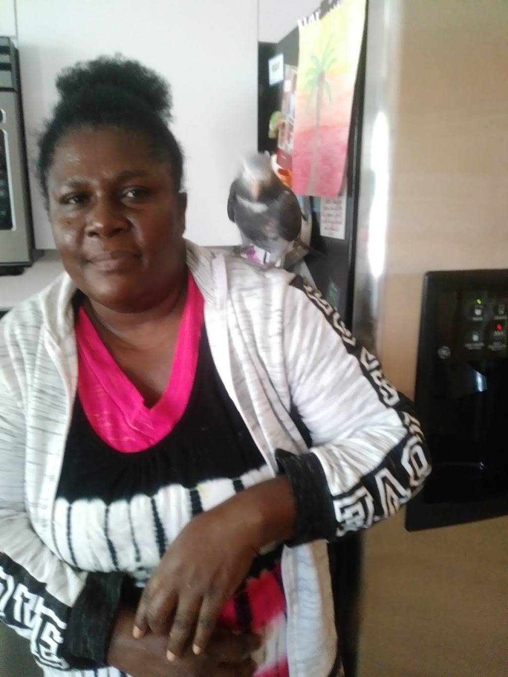 Hometown Heroes Bar and Grill | restaurant | 600 N Beneva Rd, Sarasota, FL 34232, USA | 9413654412 OR +1 941-365-4412