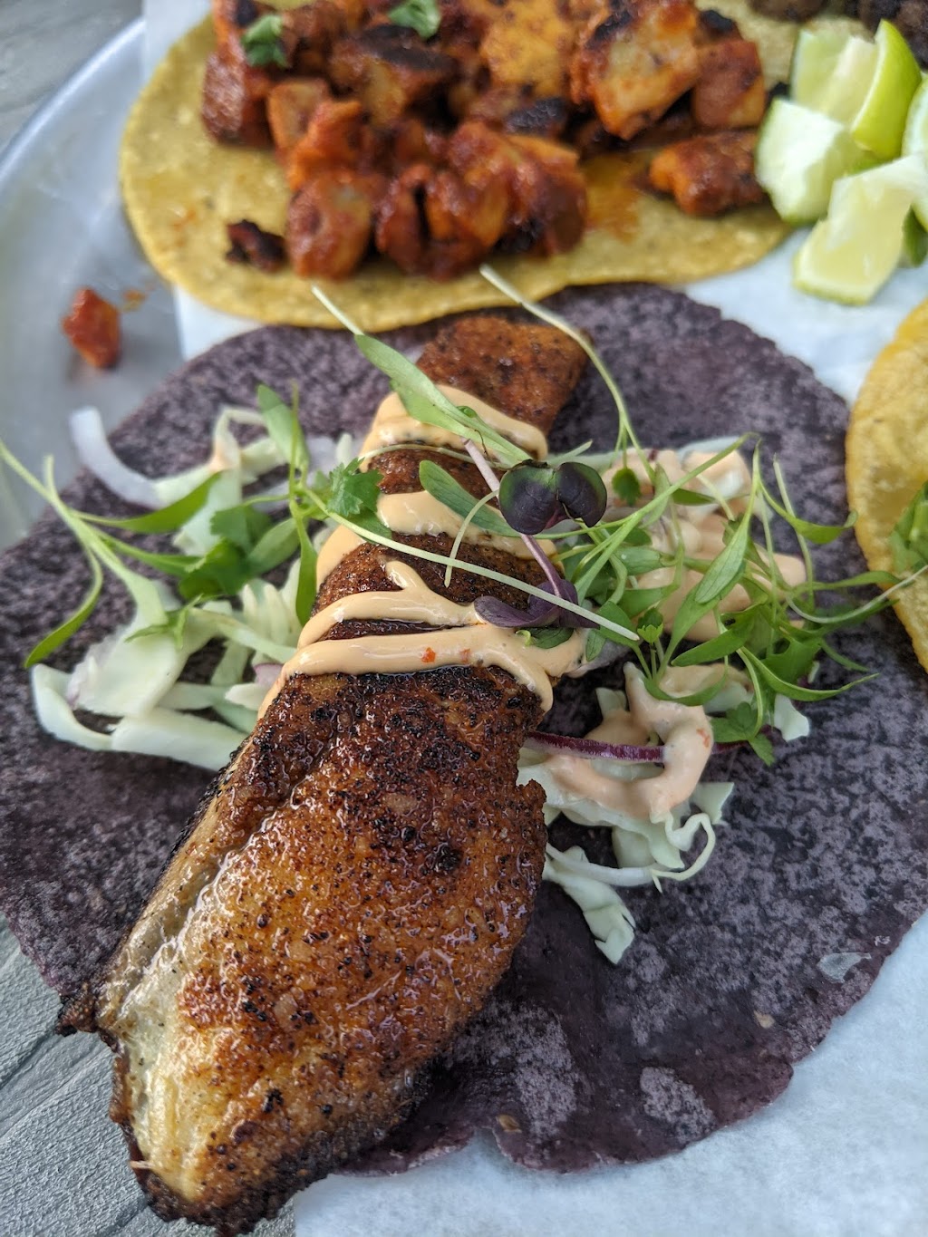 Taco Mucho | restaurant | 220 Harrison St, Oak Park, IL 60304, USA | 7084345740 OR +1 708-434-5740