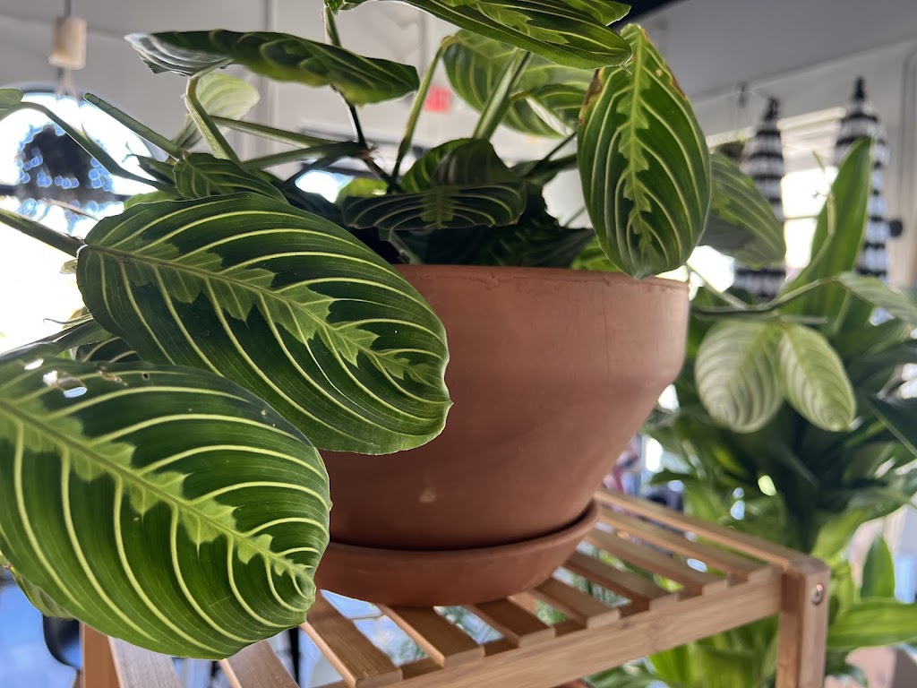 Wake and Bake | cafe | 5001 N Mesa St Building 2 Suite A, El Paso, TX 79912, USA | 9157274727 OR +1 915-727-4727