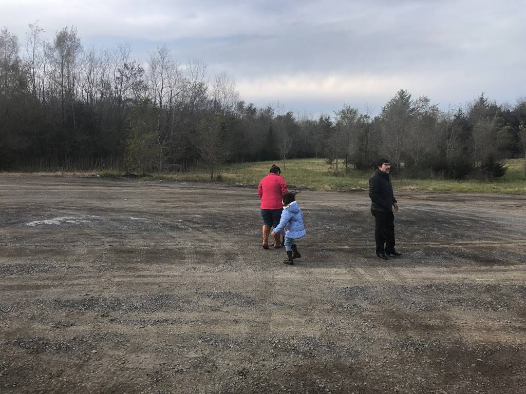 SmokinQ | restaurant | 3634 N Valley Pike, Harrisonburg, VA 22802, USA | 5404211326 OR +1 540-421-1326