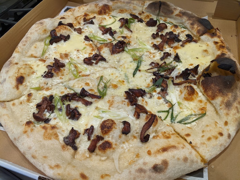 Pizza Kat | restaurant | 2174 W Burnside St, Portland, OR 97210, USA | 5033100011 OR +1 503-310-0011