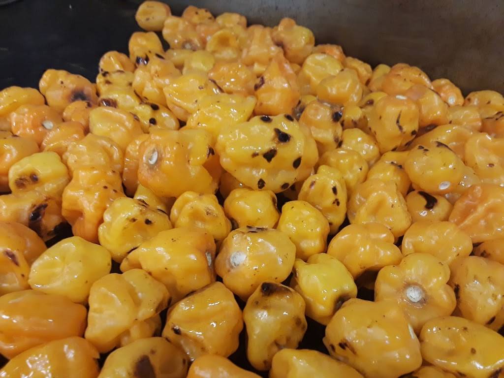 TacoMoto Mexican Restaurant in Millbrae | restaurant | 360 Adrian Rd, Millbrae, CA 94030, USA | 6506928226 OR +1 650-692-8226