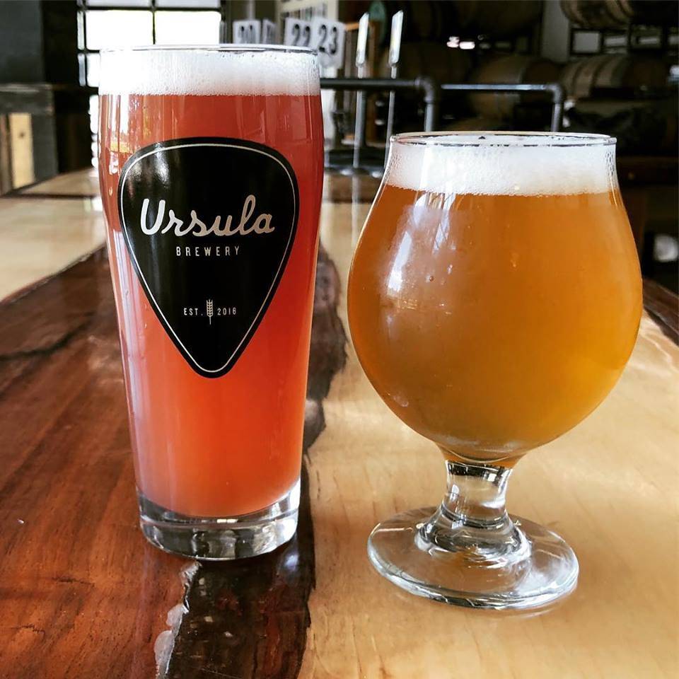 Ursula Brewery | restaurant | 2101 North Ursula Street, Aurora, CO 80045, USA | 7203248529 OR +1 720-324-8529