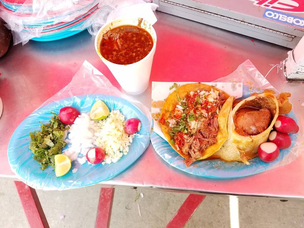 Birrieria Yaquis | restaurant | 22840, Calz de las Águilas 1888, Maestros, 22840 Ensenada, B.C., Mexico | 016462365966 OR +52 646 236 5966