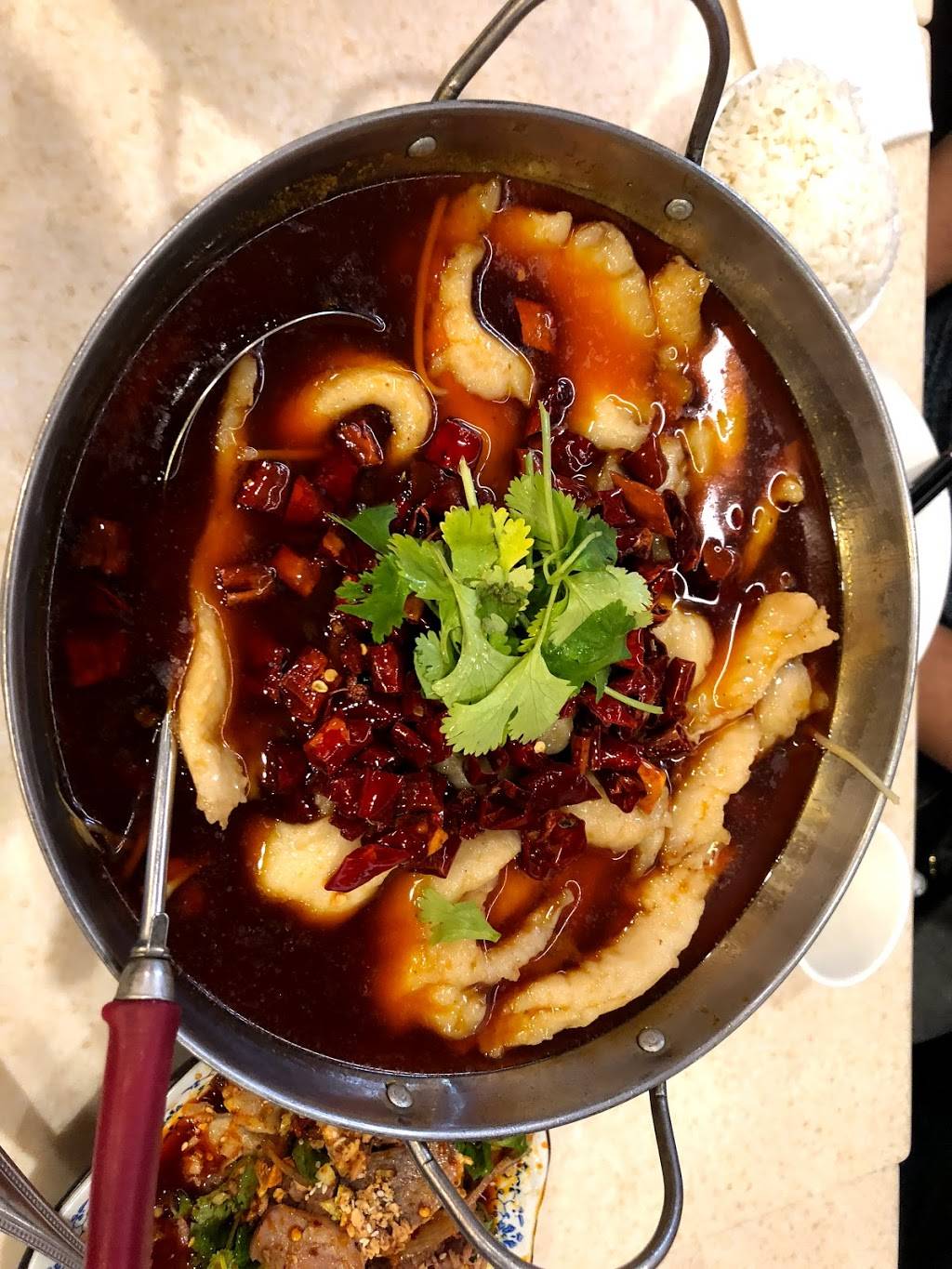 沸腾鱼乡 | restaurant | 290 Barber Ct, Milpitas, CA 95035, USA | 4089559588 OR +1 408-955-9588