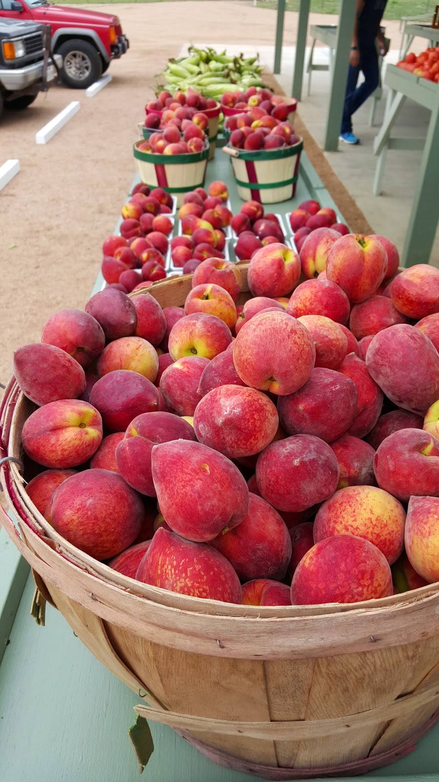 Stahlmans at Bear Creek-Grocery and Pecans | restaurant | 5511 FM 2722, New Braunfels, TX 78132, USA | 8305153658 OR +1 830-515-3658