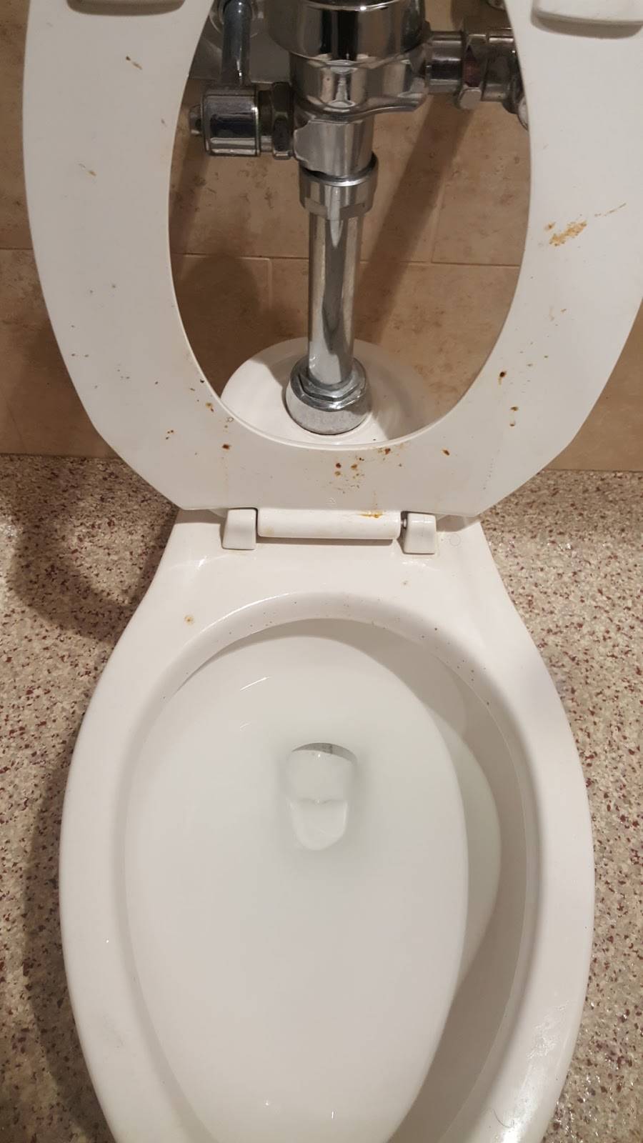 Wawa | cafe | 3166 Solomons Island Rd, Edgewater, MD 21037, USA | 4109567003 OR +1 410-956-7003