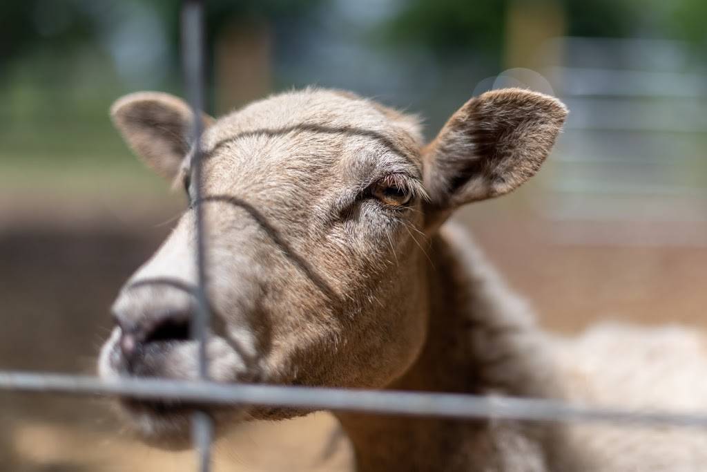 Family farms inc.U-Pick |  | 14950 SW 14th St, Davie, FL 33326, USA | 9548042850 OR +1 954-804-2850