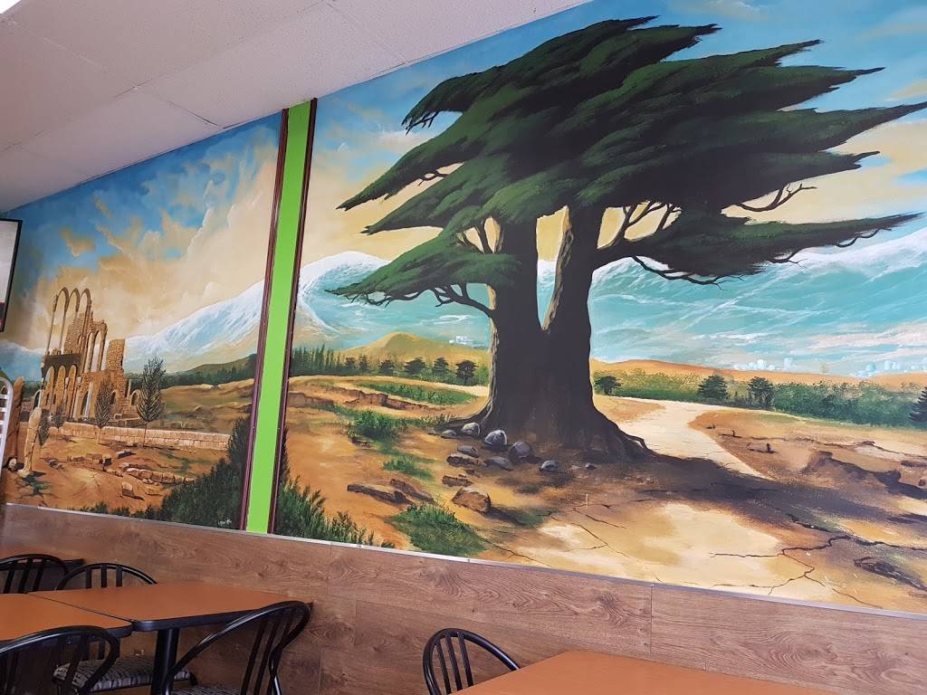 Shish Poulet | restaurant | 1027 Boulevard des Seigneurs, Terrebonne, QC J6W 3W5, Canada | 4509646000 OR +1 450-964-6000