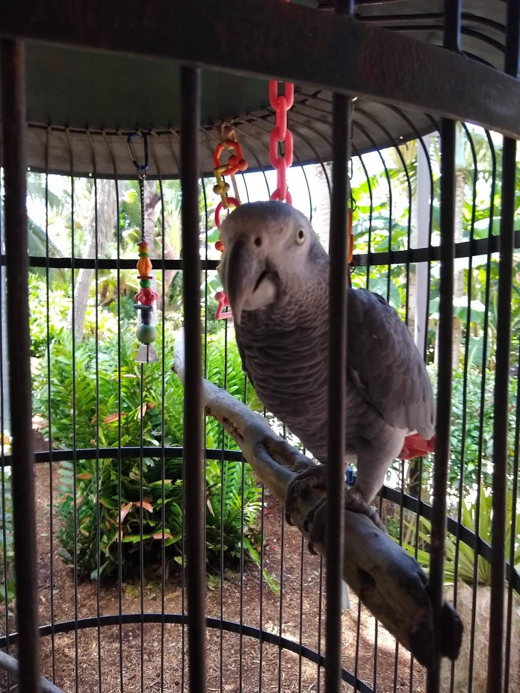 Sanibel Bean | cafe | 2240 Periwinkle Way, Sanibel, FL 33957, USA | 2393951919 OR +1 239-395-1919