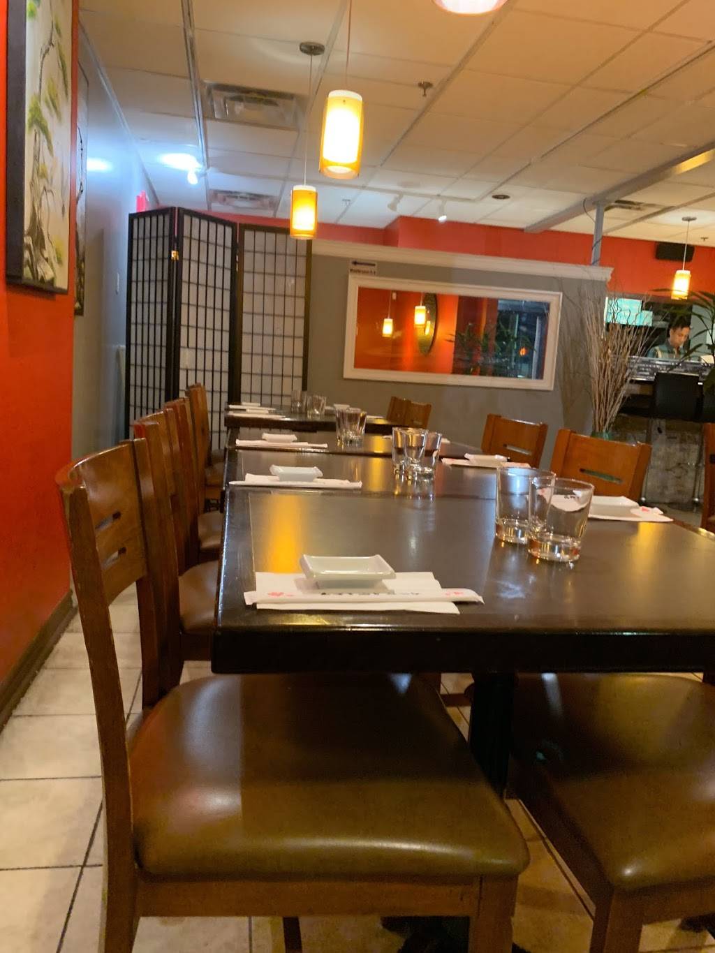 Orchid Sushi | restaurant | 445 Laurier Ave W, Ottawa, ON K1R 0A2, Canada | 6136955588 OR +1 613-695-5588