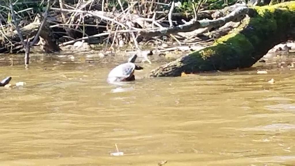 Bladensburg Waterfront Park | restaurant | 4601 Annapolis Rd, Bladensburg, MD 20710, USA | 3017790371 OR +1 301-779-0371