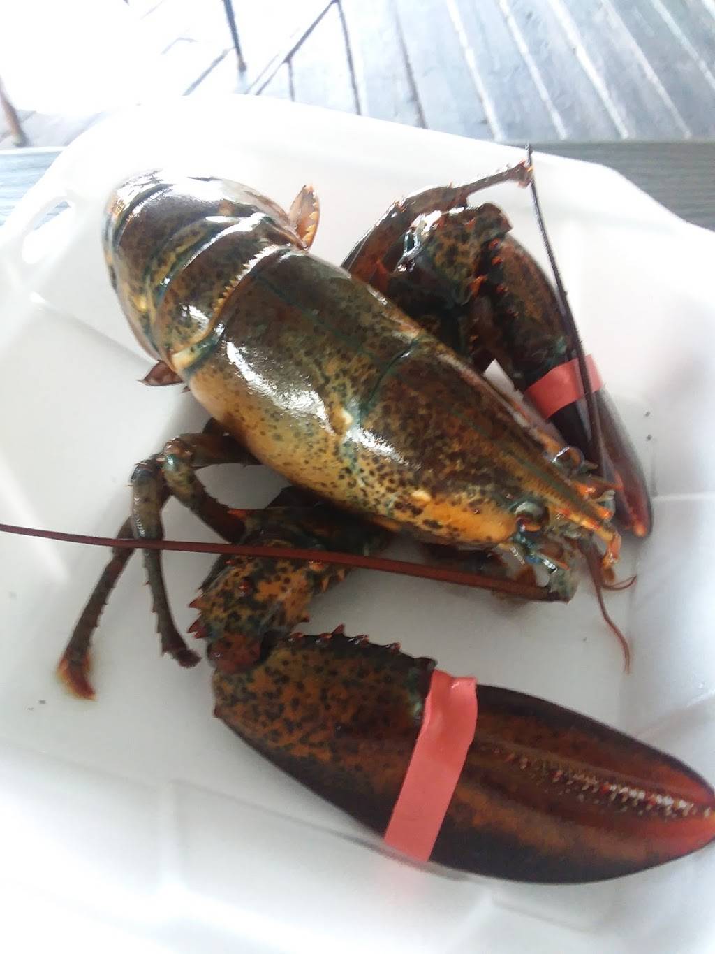 Chubbyz Sports Tavern & Grill | restaurant | 4109 Tamiami Trail, Port Charlotte, FL 33952, USA | 9416130002 OR +1 941-613-0002