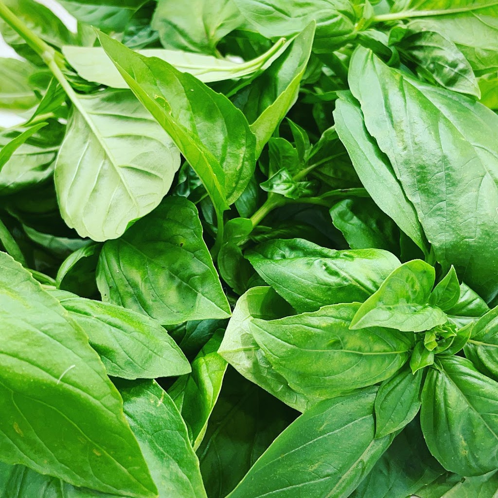 Della Cucina Italian Market & Catering | restaurant | 1407 NJ-37, Toms River, NJ 08753, USA | 7328313000 OR +1 732-831-3000