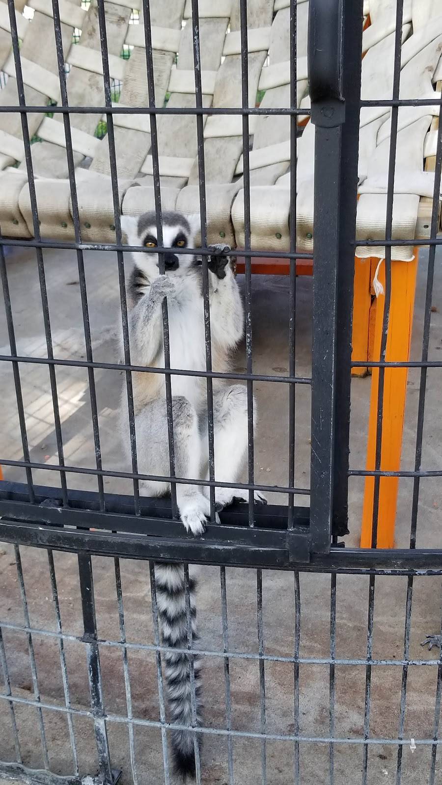 Smokin Bones | restaurant | 8401 US-34 Bldg 1,, 8401 73rd St, Agency, IA 52530, USA | 6419375114 OR +1 641-937-5114