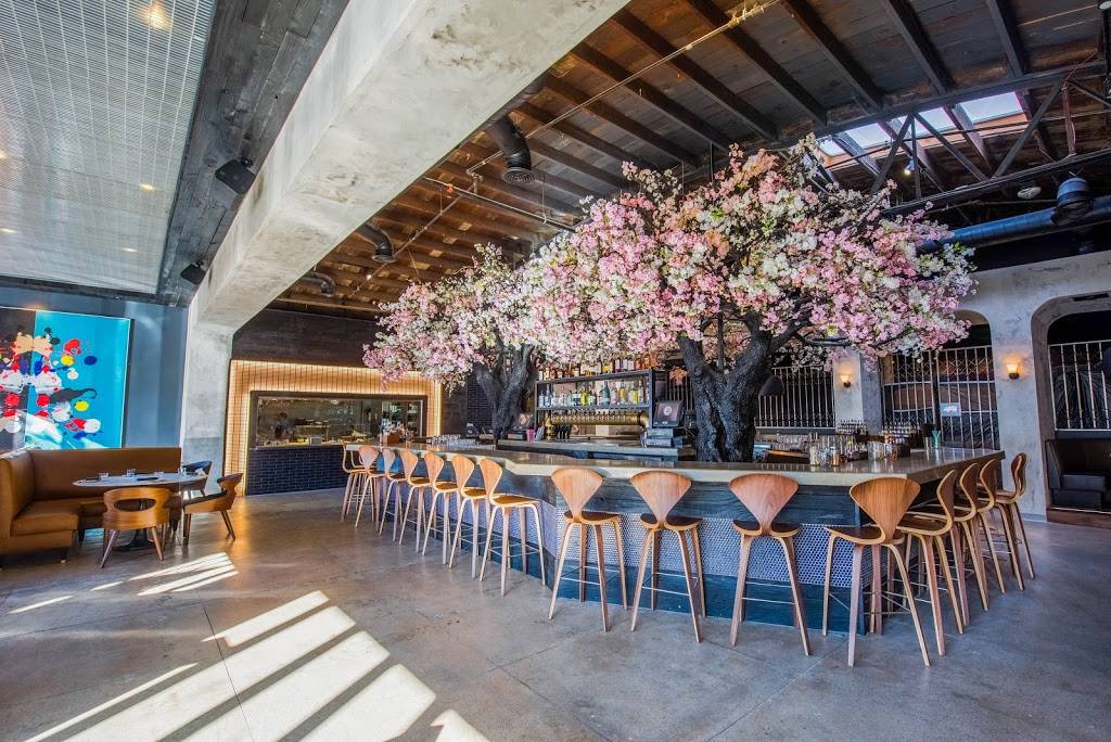 Cloak & Petal | restaurant | 1953 India St, San Diego, CA 92101, USA | 6195015505 OR +1 619-501-5505