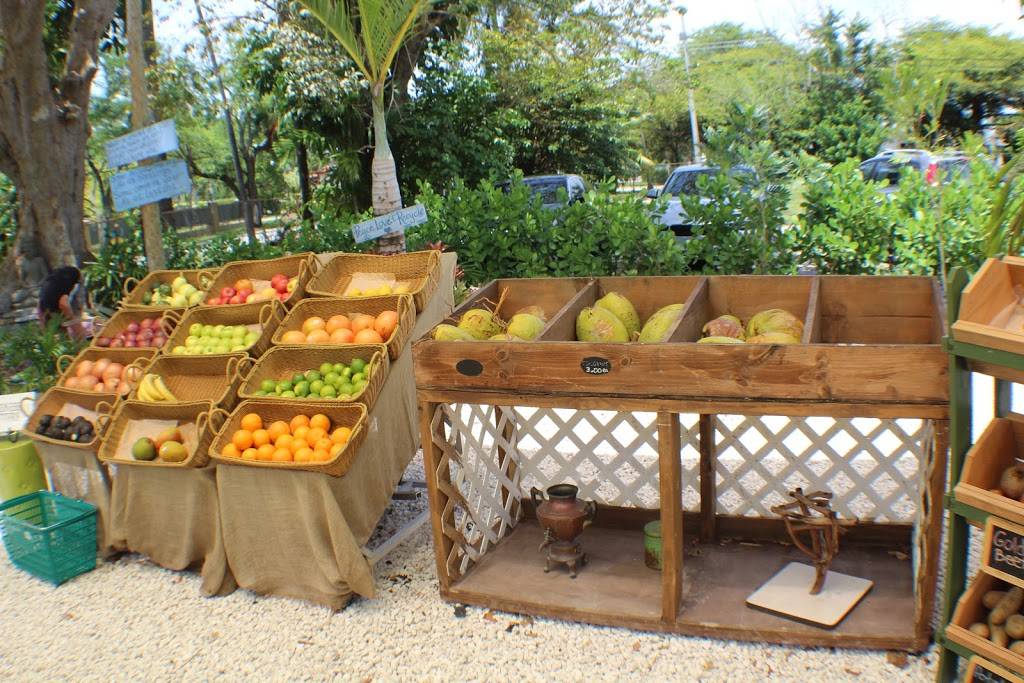 Aguacate Sanctuary of Love | restaurant | 12100 SW 43rd St, Miami, FL 33175, USA | 7867747339 OR +1 786-774-7339